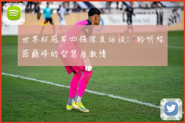 世界杯冠军四强深度访谈：聆听绿茵巅峰的智慧与激情