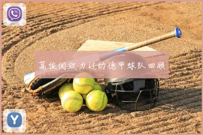 蒿俊闵效力过的德甲球队回顾