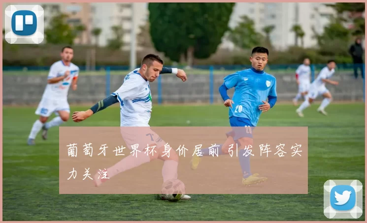 葡萄牙世界杯身价居前 引发阵容实力关注