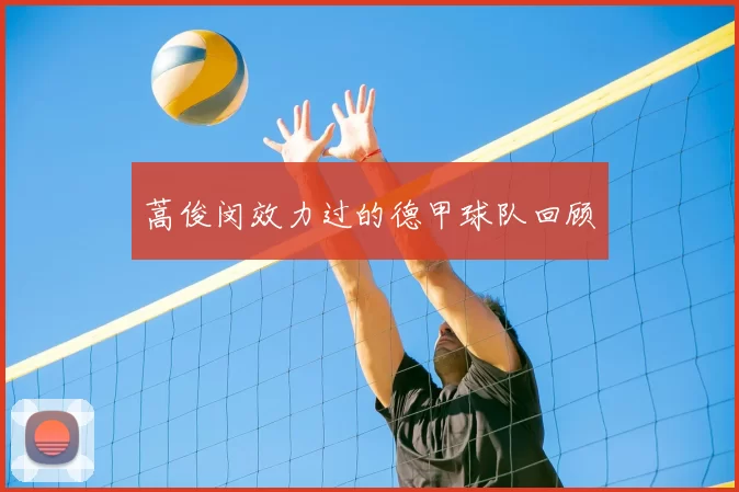 蒿俊闵效力过的德甲球队回顾
