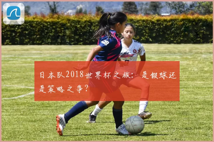 日本队2018世界杯之旅：是假球还是策略之争？