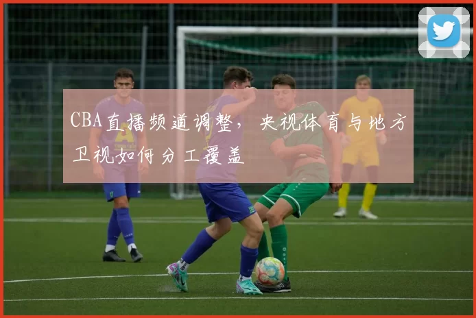 CBA直播频道调整，央视体育与地方卫视如何分工覆盖
