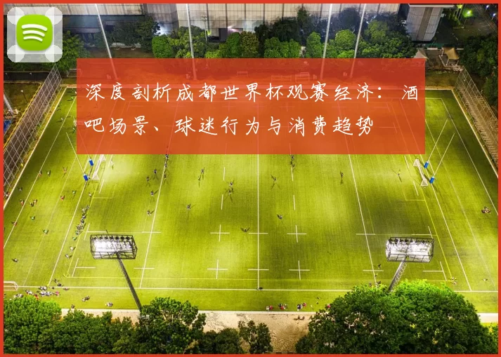 深度剖析成都世界杯观赛经济：酒吧场景、球迷行为与消费趋势