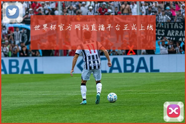 世界杯官方网站直播平台正式上线