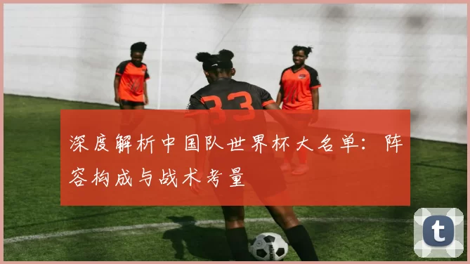 深度解析中国队世界杯大名单：阵容构成与战术考量