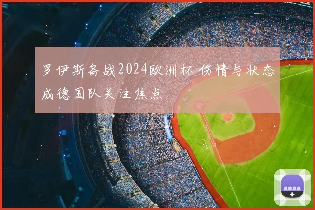 罗伊斯备战2024欧洲杯 伤情与状态成德国队关注焦点