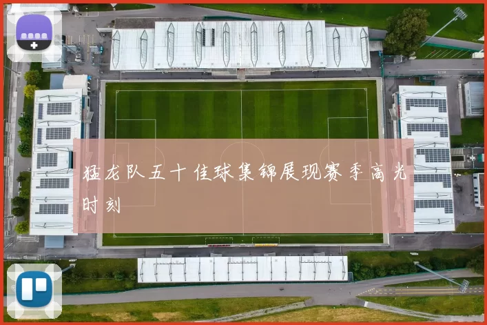 猛龙队五十佳球集锦展现赛季高光时刻