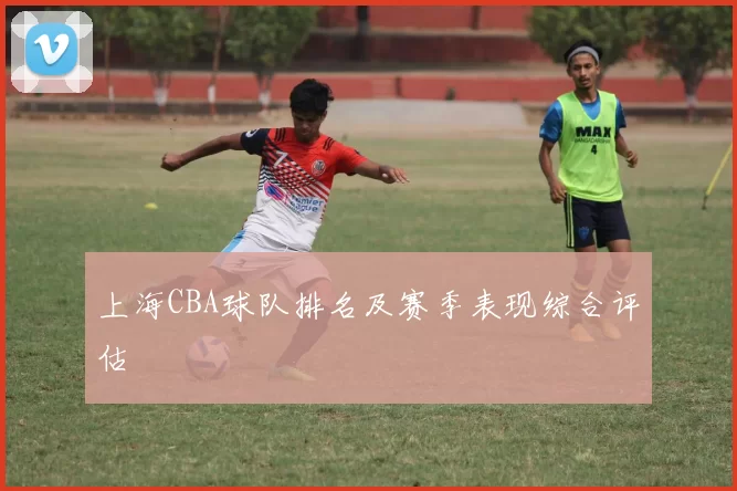 上海CBA球队排名及赛季表现综合评估