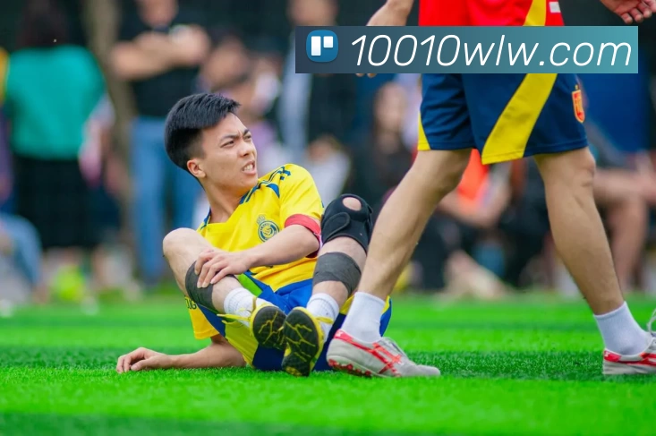 博亚官网平台生态图